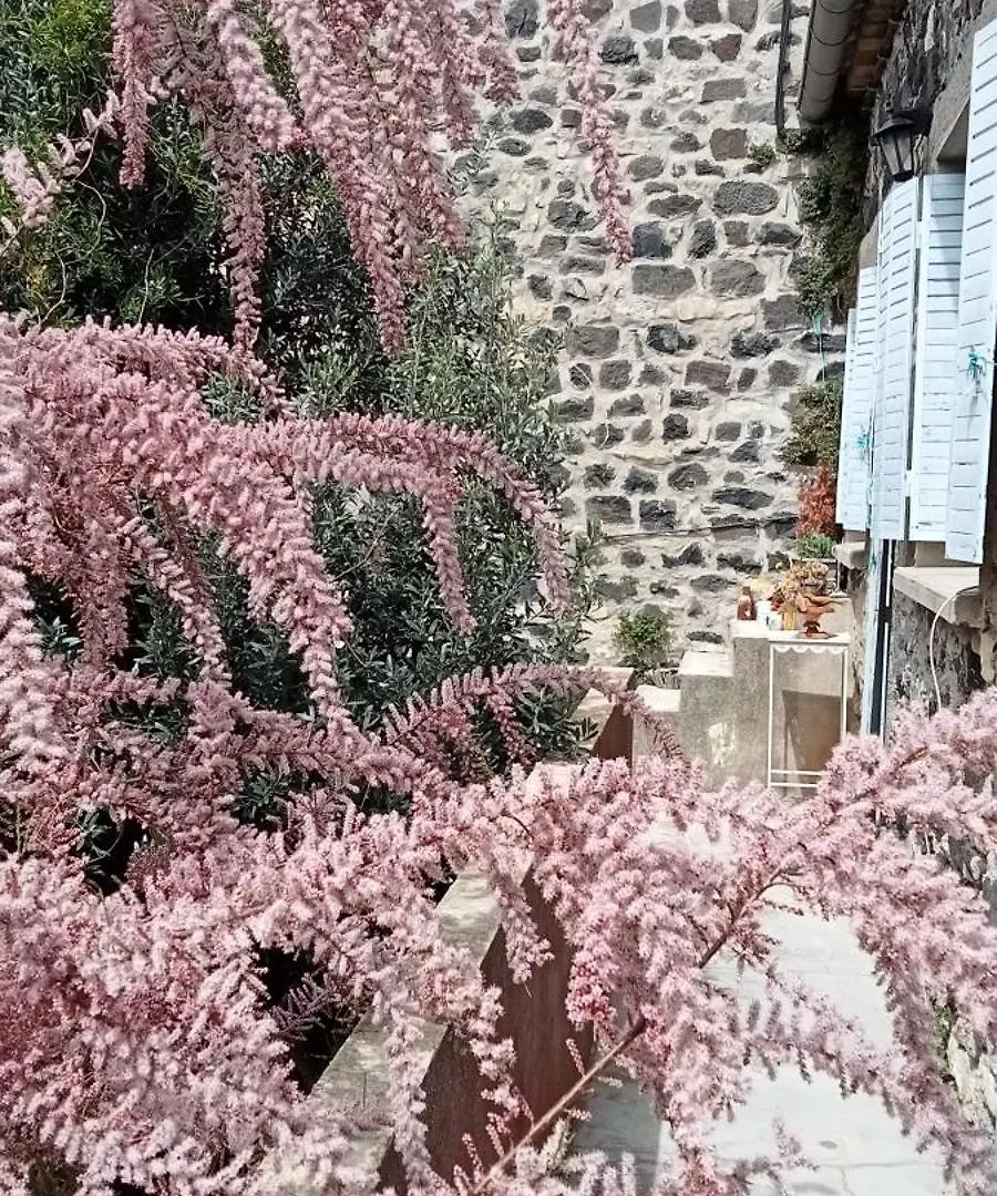 Apartament Ruelles Et Terrasses Mirabel